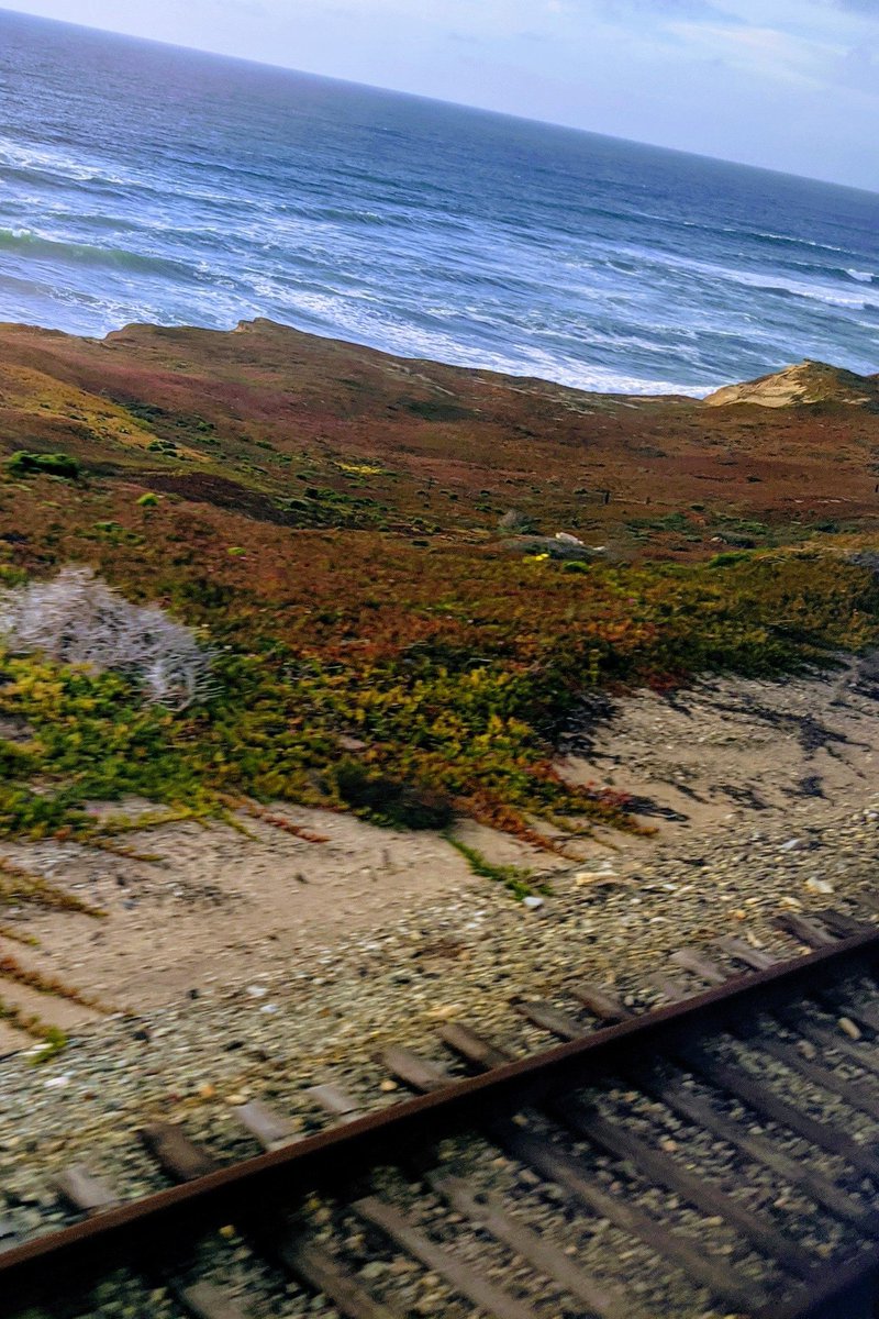 Edison_Group's tweet image. Guess where he took me this time...
Valentine's Day morning, Mitch Irvine and I hopped on Amtrak's Coast Starlight, traveling from Seattle to Los Angeles, and spent the next two days relaxing, eating, meeting new friends, napping, staring out our sleeper window, and eating!