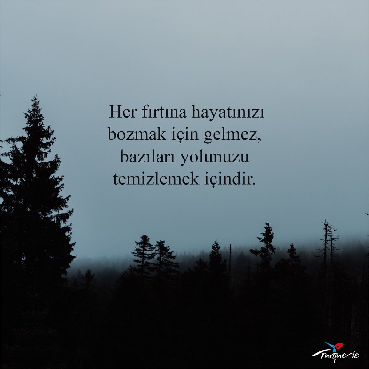 turqueriie's tweet photo. #Sözler #ÖzlüSözler #GününSözu #GüzelSözler #İnstaSöz #AnlamlıSözler #Güzel #Söz #Şiir #Şiirler #Atasözu #HayırlıSabahlar #Günaydın #GoodMorning #BuenosDias #BuonGiorno #BomDia #доброеутро #GutenMorgen #SabahınXeyir #SelamatPagi #Xayrlitong #Bonjour #GoedeMorgen #καλημέρα https://t.co/dcwTDxmyi1