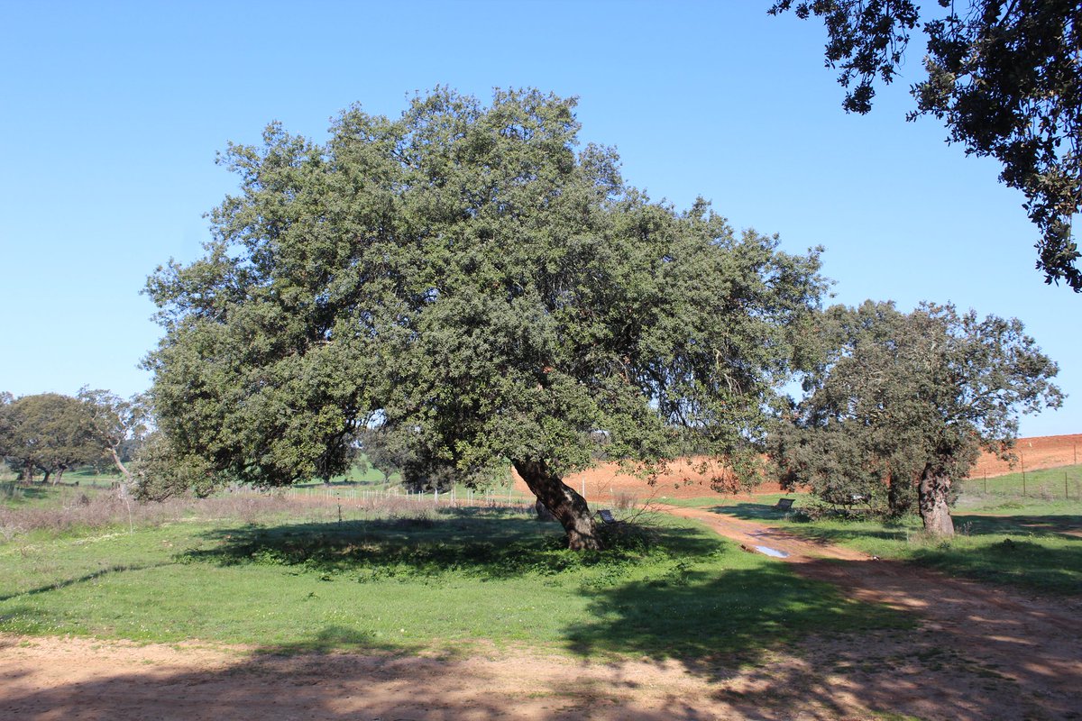 Exultante el paraje San isidro, zona protegida para disfrute de todo el mundo.