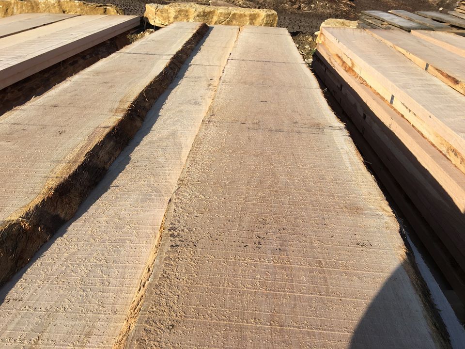 We seek out sustainably sourced British Oak, Ash, Elm and Chestnut throughout the UK. What do you need for your next carpentry project? A selection of widths and lengths available cut to size to meet individual requirements. Contact us for more info.