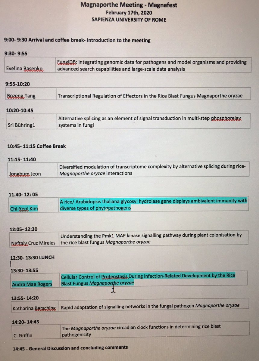 Magnafest 2020 tweet media