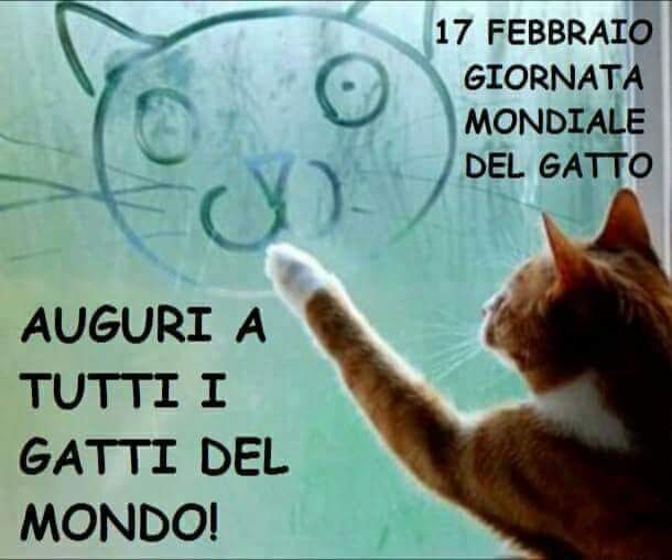Auguri ne ❤️
#festadelgatto