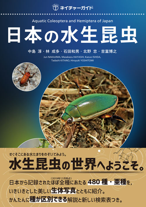 ネイチャーガイド日本の水生昆虫