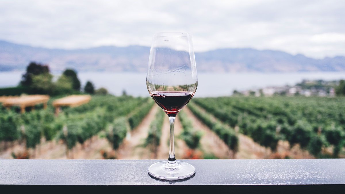 bizeez's tweet photo. Wine tourism refers to tourism whose purpose includes the tasting, consumption or purchase of wine near the source. https://t.co/5VAm6WYB8D https://t.co/xZBfGkx8gR