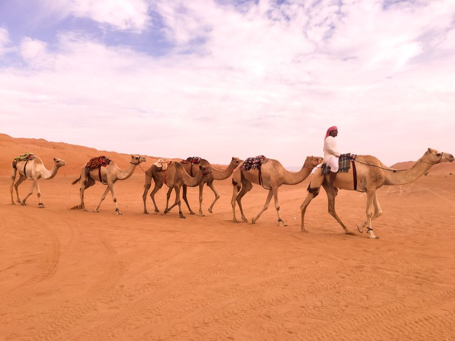 One of my most favourite countries and one I don't get bored writing about 🐪
Why You Should Plan A Trip to Oman This Year | Dame Traveler buff.ly/38z2Ggf @DameTraveler #travel #Oman