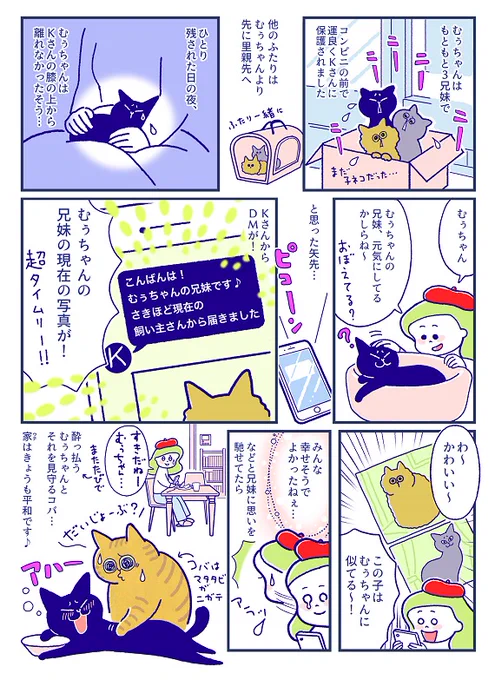 「むぅちゃんのご兄妹」???(吉濱あさこさんの「イチャ猫」)更新!⇒イチャ猫 