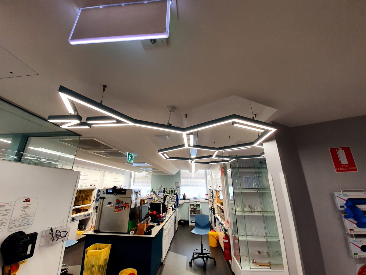 PhotoPolymerLab's tweet image. The meeting today with the Soft Matter group at @QUT  was awesome. A large group of students who showed high interest in the use of light for hydrogels synthesis or fabrication of Janus nanoparticles.

photopolymer.it/first-day-at-q…