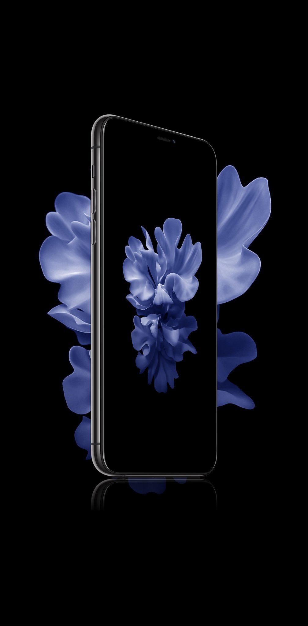 Download Galaxy Z Flip wallpapers and see your home screen bloom   SamMobile