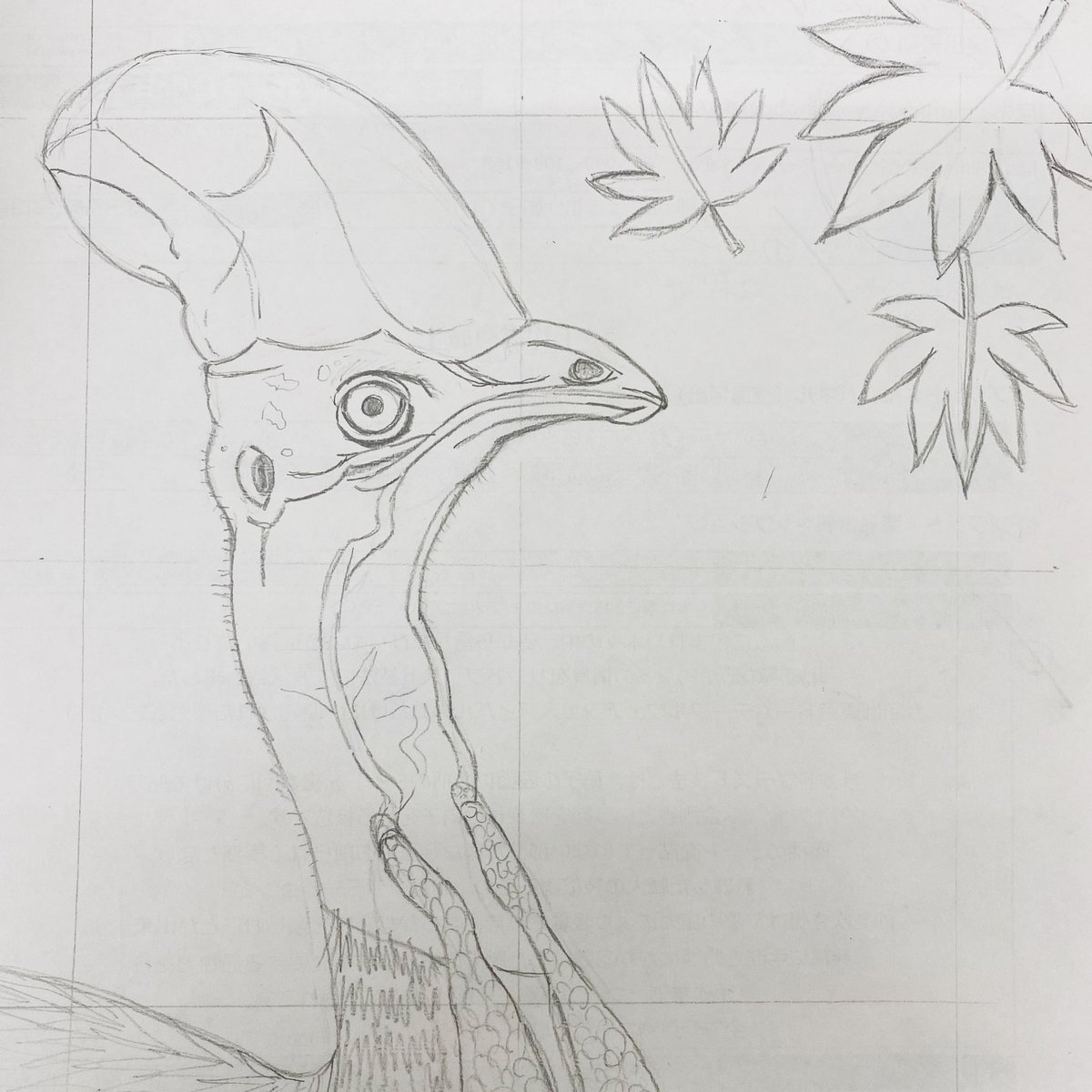 オクダイラユウユウ 時の流れに身をまかせ展 3 21 いきものフェス 仕事の合間に下書き ヒクイドリはやおもり行きだけど ハシビロコウとシマエナガは鳥展にしよう ヒクイドリ 鳥 イラスト やおもり Drawing オクダイラユウユウ 時の流れに身をまかせ展 3 21 いきものフェス 仕事の合間に下書き ヒクイドリはやおもり行きだけど ハシビロコウとシマエナガは鳥展にしよう ヒクイドリ 鳥 イラスト やおもり Drawing