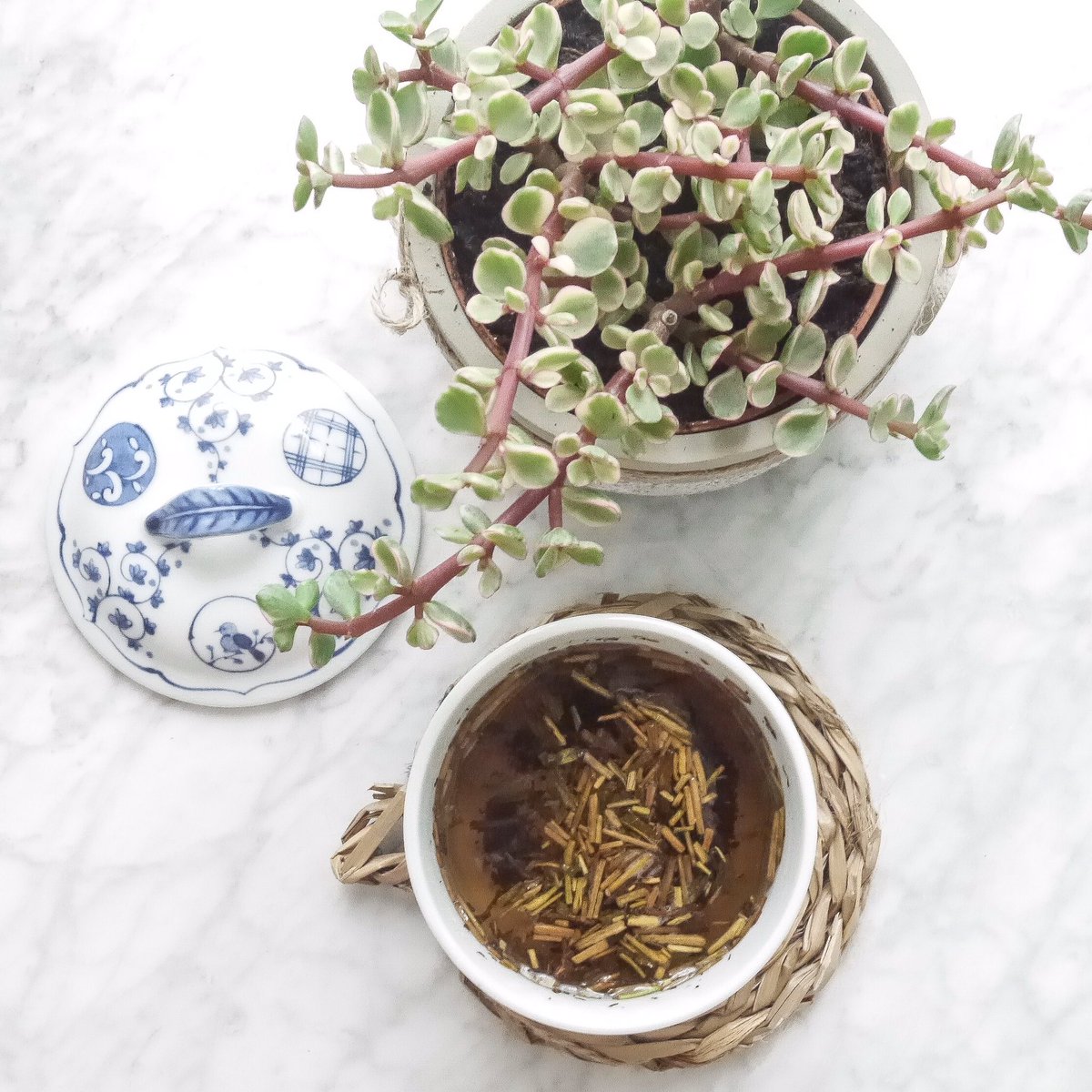tomotcha's tweet photo. For February 2020 we selected a Hōjicha (ほうじ茶) from Uji (宇治), in the prefecture of Kyōto (京都).
#tomotcha #tealover #japanesetea https://t.co/nmlhIDlPQb