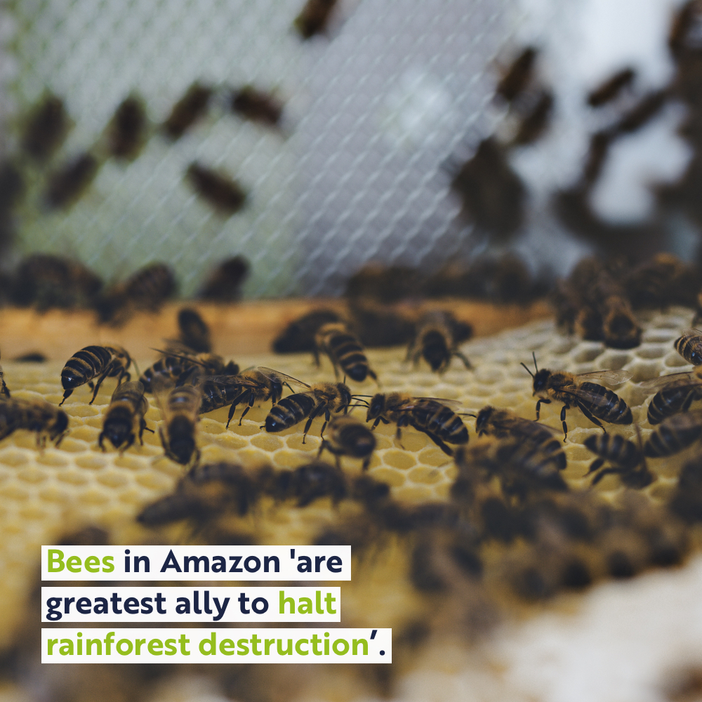 Verto Homes tweet media