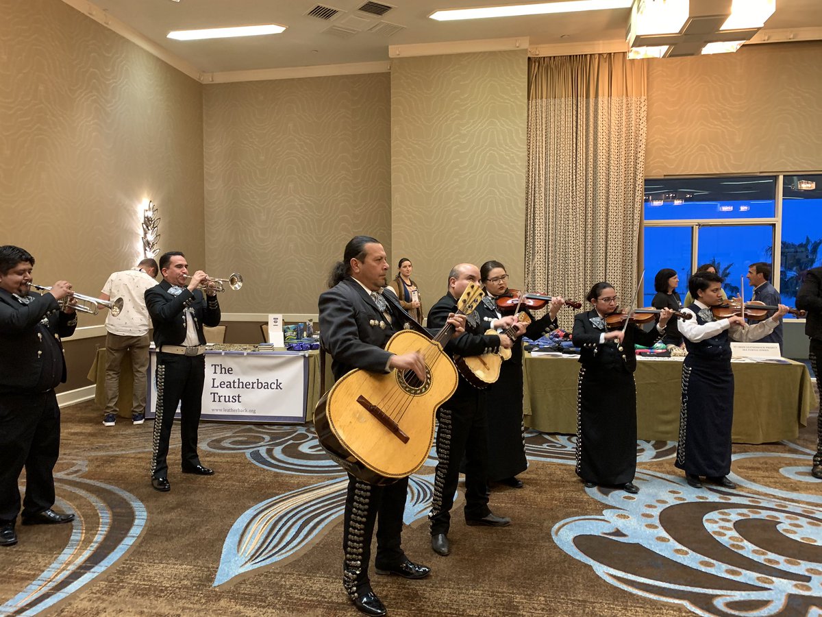 SeaTurtleCenter's tweet image. Fun times w a mariachi band at the @SERSTM_2020 #SERSTM2020 opening poster session and social. Big day today w a slate full of presentations focusing on Texas sea turtles among many other interesting talks.