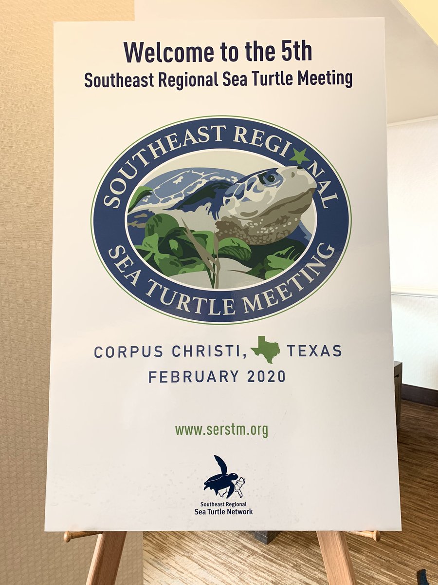SeaTurtleCenter's tweet image. Come learn about the @SeaTurtleCenter today at 11:00 @SERSTM_2020 #SERSTM2020  Stop by our booth and check out our new TX sea turtle specialty license plate