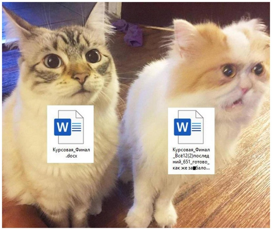 Ужасные мемы (@so_mad_so_funny) on Twitter photo 