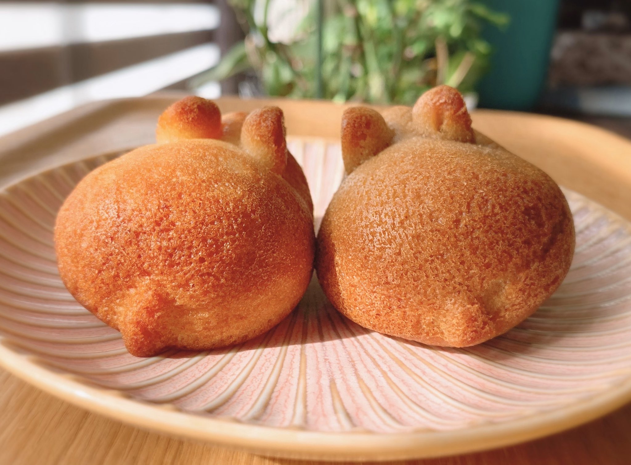 うさぎの形のフィナンシェ かわいいうえにおいしそう ギフトにおもてなしによさそうな一品ですね 話題の画像プラス