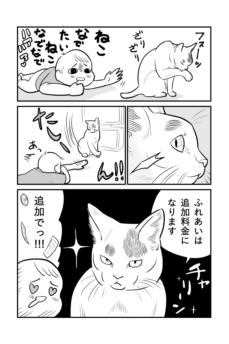 ねこレンタルサービス
1-5 