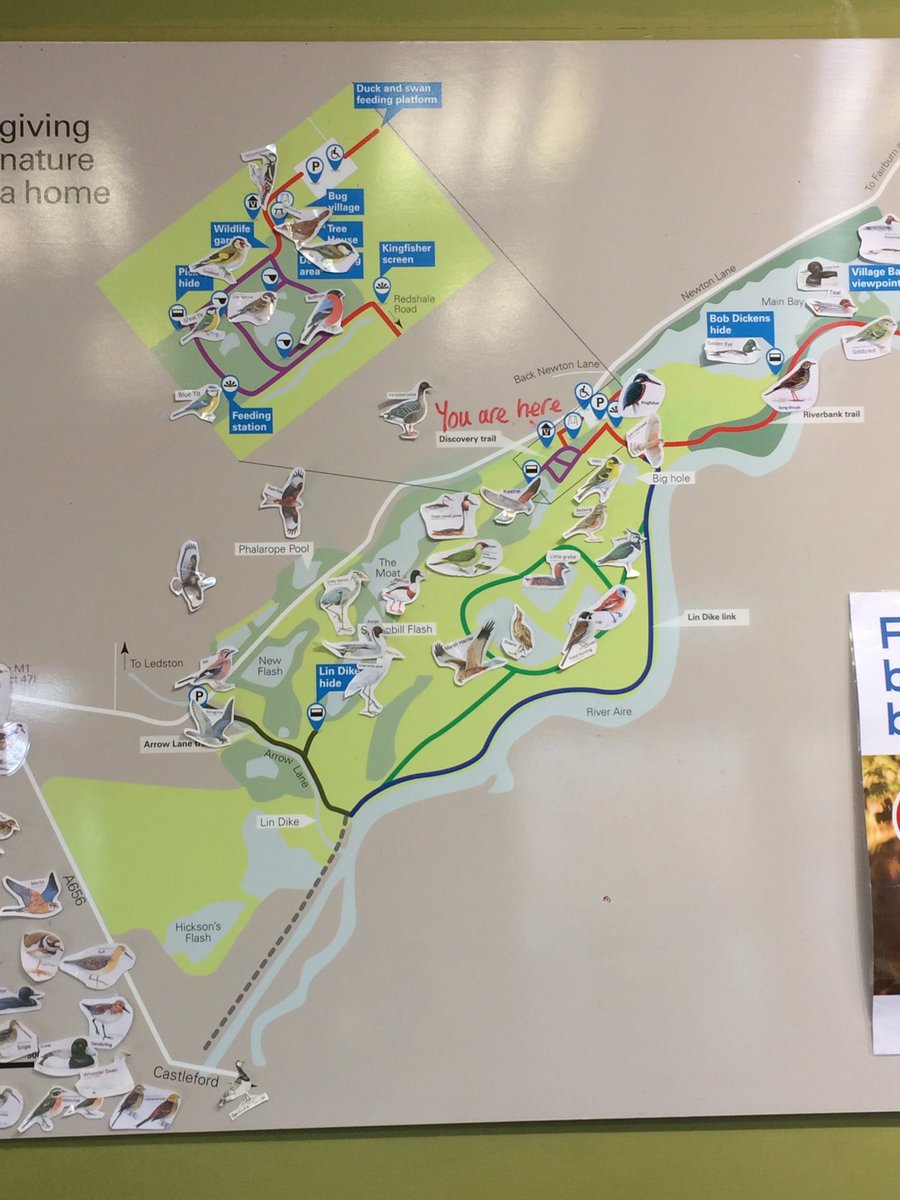 Jacquimoosey's tweet photo. Sightings on Tuesday from @RSPBAireValley included willow tit great white egret kingfisher shelduck tree creeper and redpolls thanks to visitors and @FairburnBirders for sightings https://t.co/QId0ycBZyc