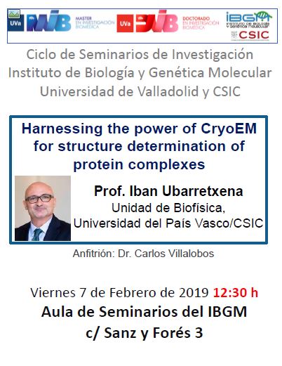 IBGM-CSIC/UVa tweet media