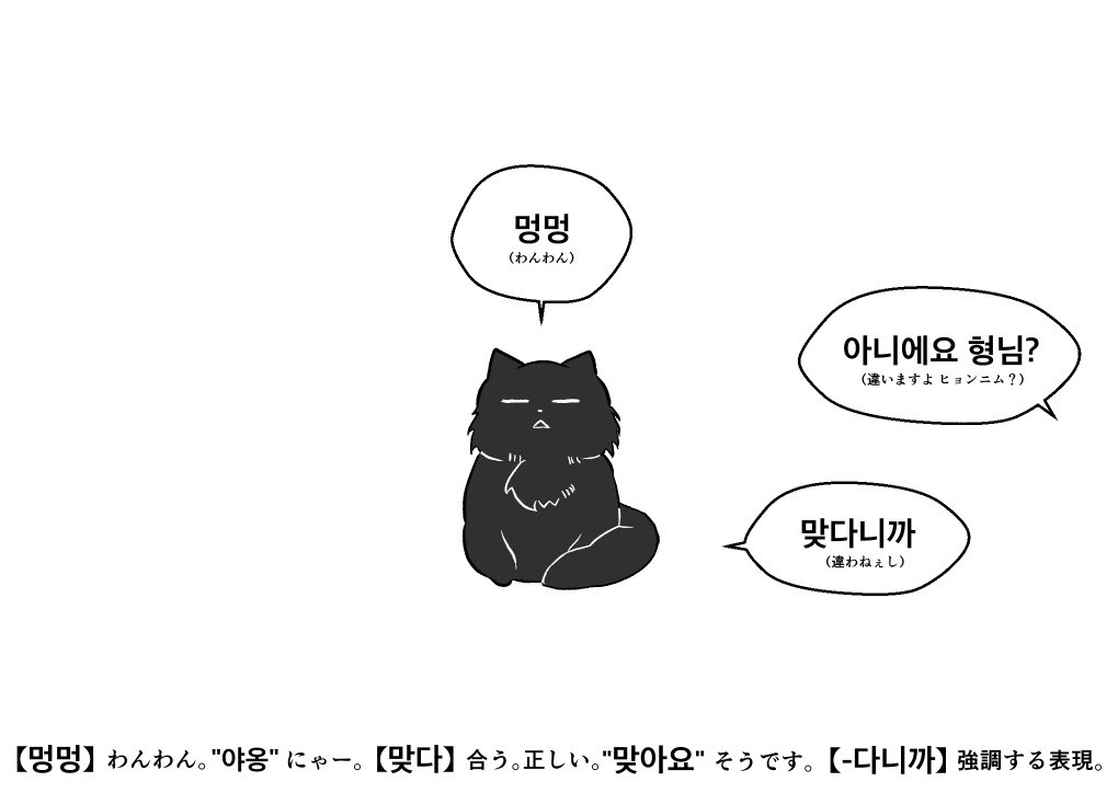 ねこゆんぎ🐱💖(고양이 윤기)

#ソプで学ぶ韓国語
#솝로배우는한국어 