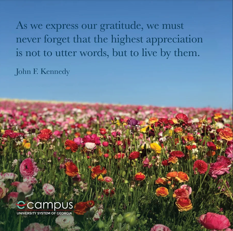 [Alt Text: As we express our gratitude, we must never forget that the highest appreciation is not to utter words, but to live by them. -John F. Kennedy/Flowers in open field.]