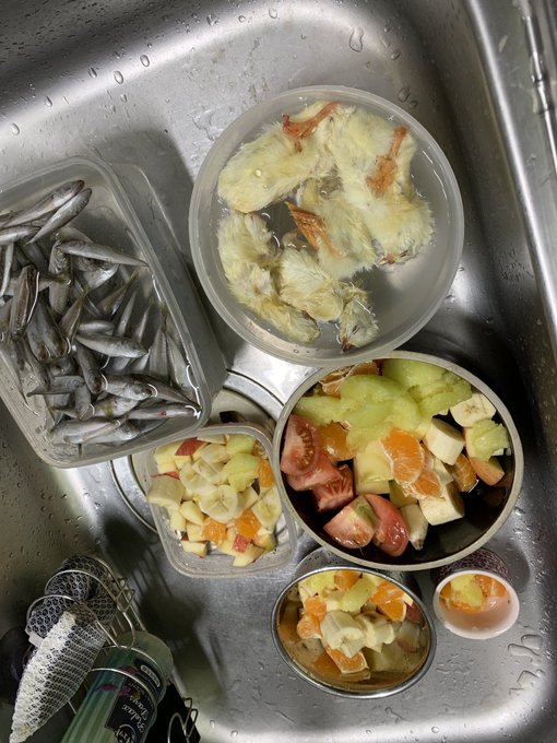 どいつとこいつも完全に俺より高価な食生活送ってて草 