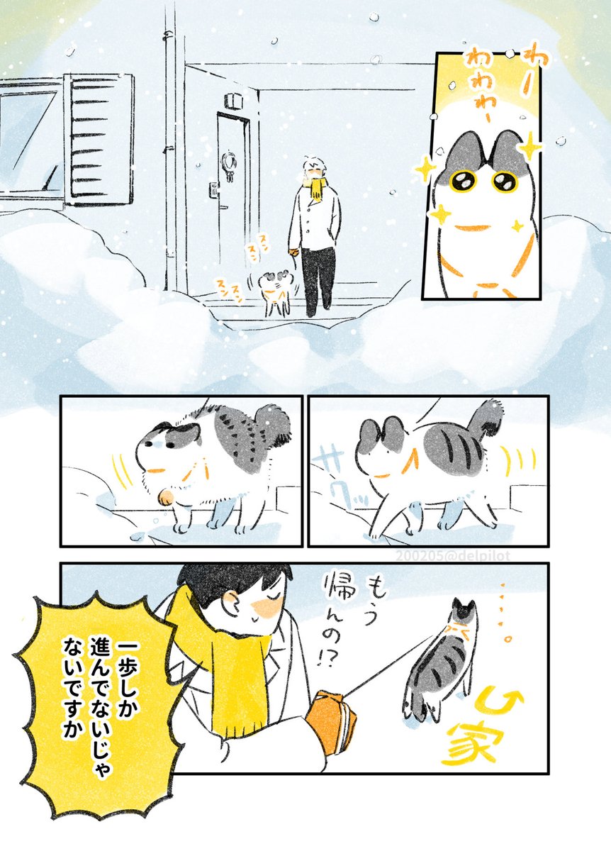 猫と大雪の日の思い出 