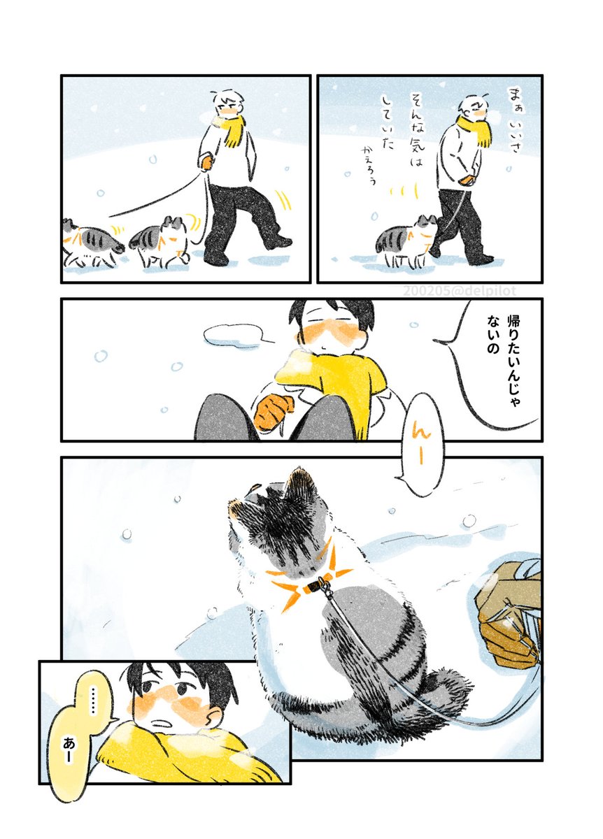 猫と大雪の日の思い出 