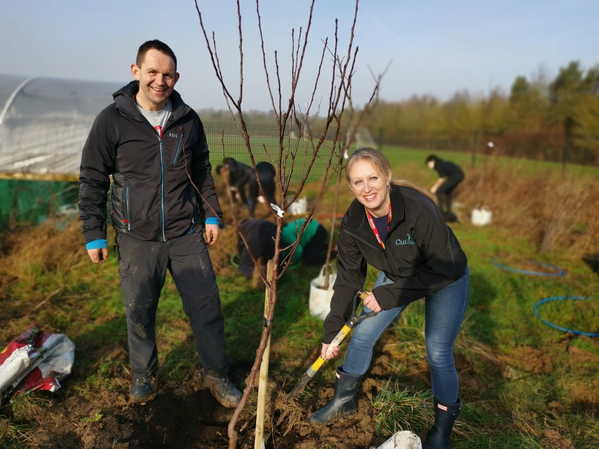 Impact Food Group tweet media