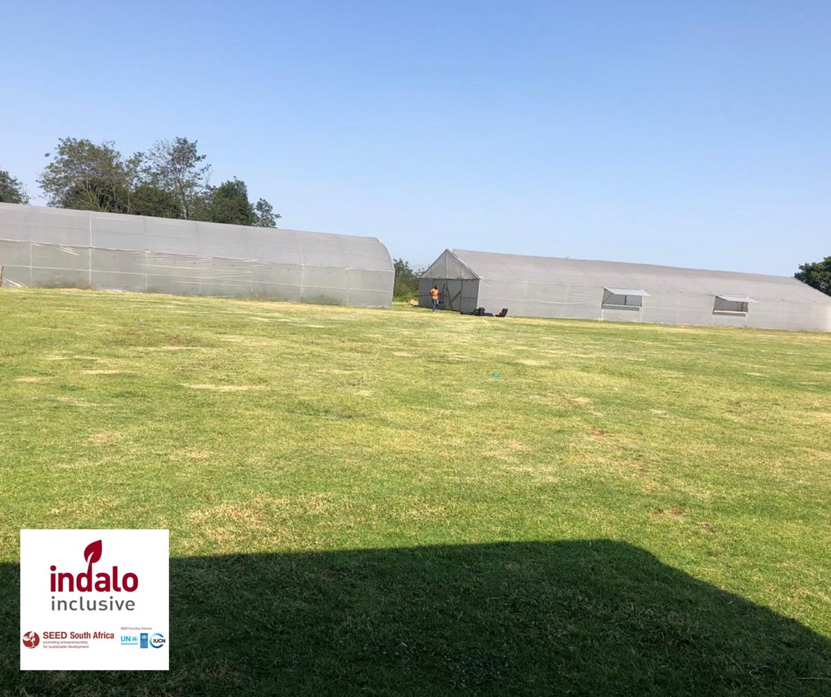 indaloinclusive's tweet photo. #Day3 of our #AcceleratorWorkshop with our @SEED_SustDev winner, AfriLeap - @KhayaMaloney. 

We are visiting AfriLeap’s greenhouse site in Johannesburg, South Africa. 

#SEEDSymposium #SEEDWinner #SustainableDevelopment #GreenEconomy https://t.co/TxvOk5XEuk