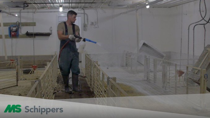 ProtectSystem's tweet photo. See how MS Topfoam saves Grandview Farms time, money and cuts water use by more than 25% prior to disinfecting during cleanouts. https://t.co/auJK4wwomS
#passionforfarming #hycare #Doyouevenfoambro https://t.co/YptjAbuJnK