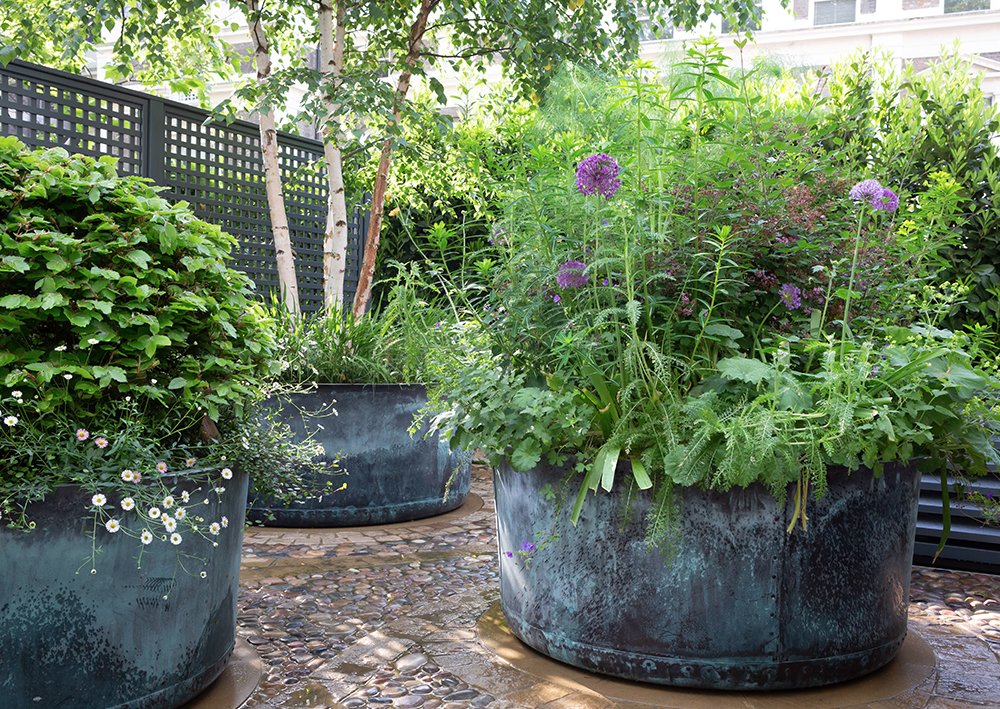 The English Garden tweet media