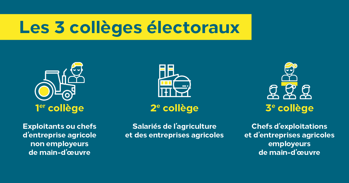 [#ElectionsMSA2020]

Le suspense est à son comble !
Aujourd’hui 150 salariés #MSA et #ElusMSA sont à pied d’œuvre ! Ils dépouillent !

Encore un peu de patience ! Les résultats seront publiés demain sur portesdebretagne.msa.fr

#proximite
#territoires
#Democratie
#GuichetUnique
