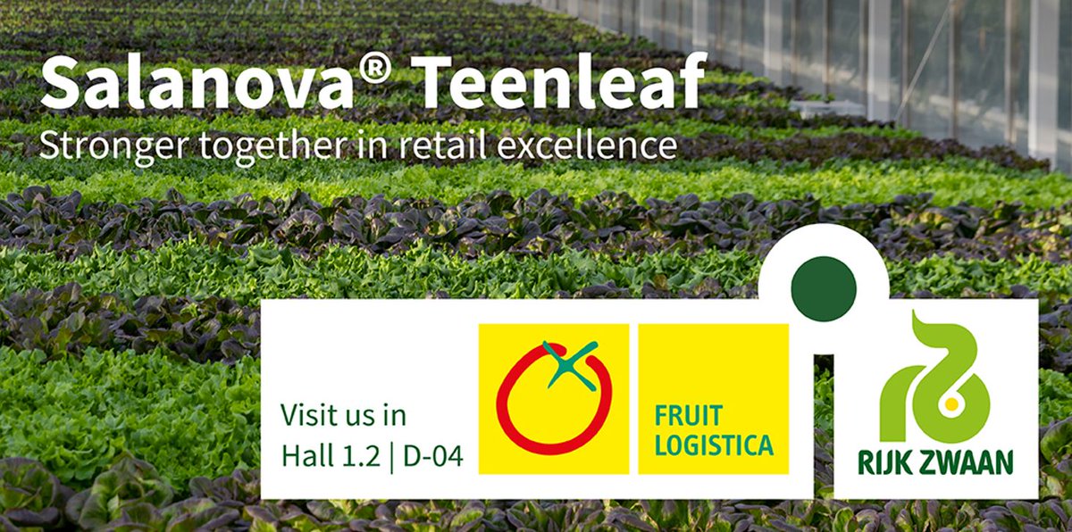 NEWS - Salanova® Teenleaf: The efficient fresh cut salad solution for soil and hydroponic cultivation. In terms of size, this ‘teenager’ is halfway between a babyleaf and a fully mature head of lettuce and it combines the best of both worlds: bit.ly/2RYReVp