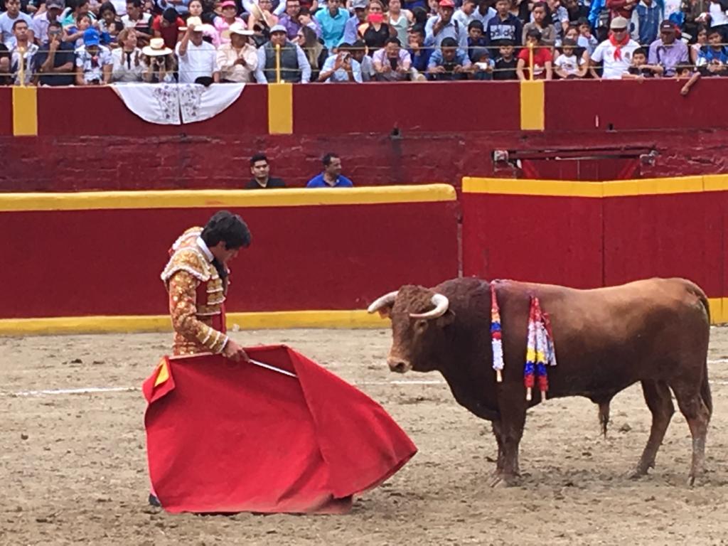 DannyACarrillo's tweet photo. #Taurino
Felicitaciones a nuestro torero venezolano #JesusColombo por su logro en nombre de la Venezuela Taurina en la Fiesta a la Virgen de la Candelaria en Sócota-Perú, alcanzado este martes #4Febrero al cortar 5 orejas a sus 3 toros de la ganadería "El Olivar". Ahora a Bogotá https://t.co/sTZMSISpjX
