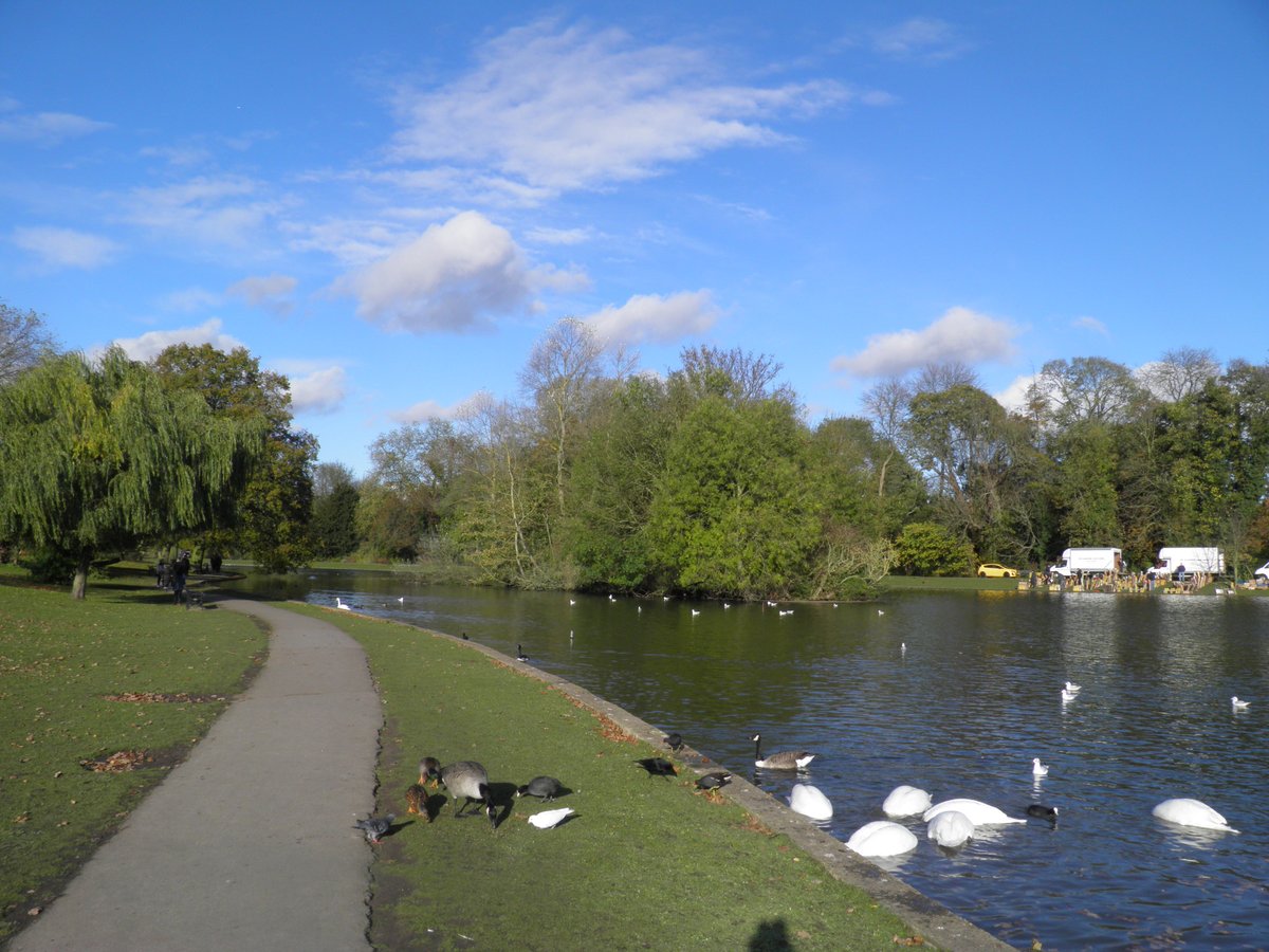Did you know that you can learn about the wildlife that is vital for River Ver by following one of the many trails at Verulamium Park? A perfect opportunity to get active AND learn some local knowledge! #ParksHerts