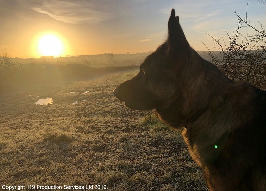 119_Productions's tweet photo. The 119 team often have to start work at the crack of dawn #LoveWhereYouWork #Hertfordshire #sunrise #Event #eventprofs https://t.co/geKnYA16Dt