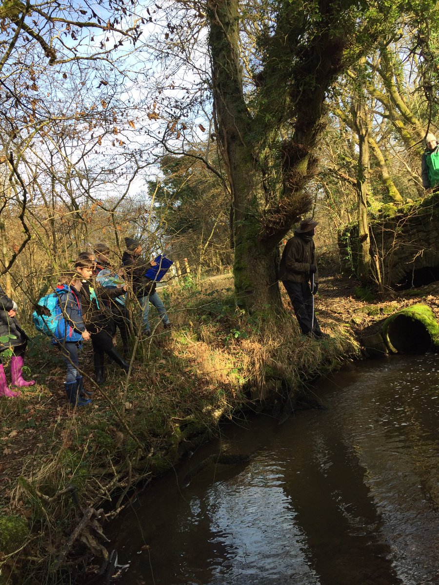Hendrefoilan's tweet photo. Year 5 taking measurements at the start of the Ilston River and starting out journey.

#hdfpy5 #hdfpnumeracy #hdfphumanities https://t.co/wHQ2tvXpj0