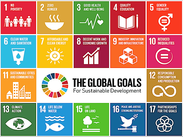 SDGs means nothing to a lame man. 

Talk about one of the 17 global goals below. Be detailed about what you understand by it and tag just one person who don't know about SDGs.

A lame man can understand what good health and well being means. 

 #DecadeOfAction #SDGs4All #GoalTalk