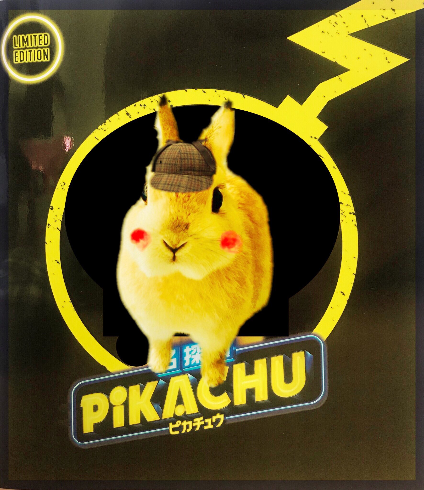 Lippy Chappy 2 5 ピカチュウの日 本日はポケモン図鑑no 25という事でピカチュウの日 うーたピカ 私ポケモン好きだけど初耳 うさぎ Rabit うさぎのいる生活 うさぎのいる暮らし ネザーランドドワーフ ポケモン