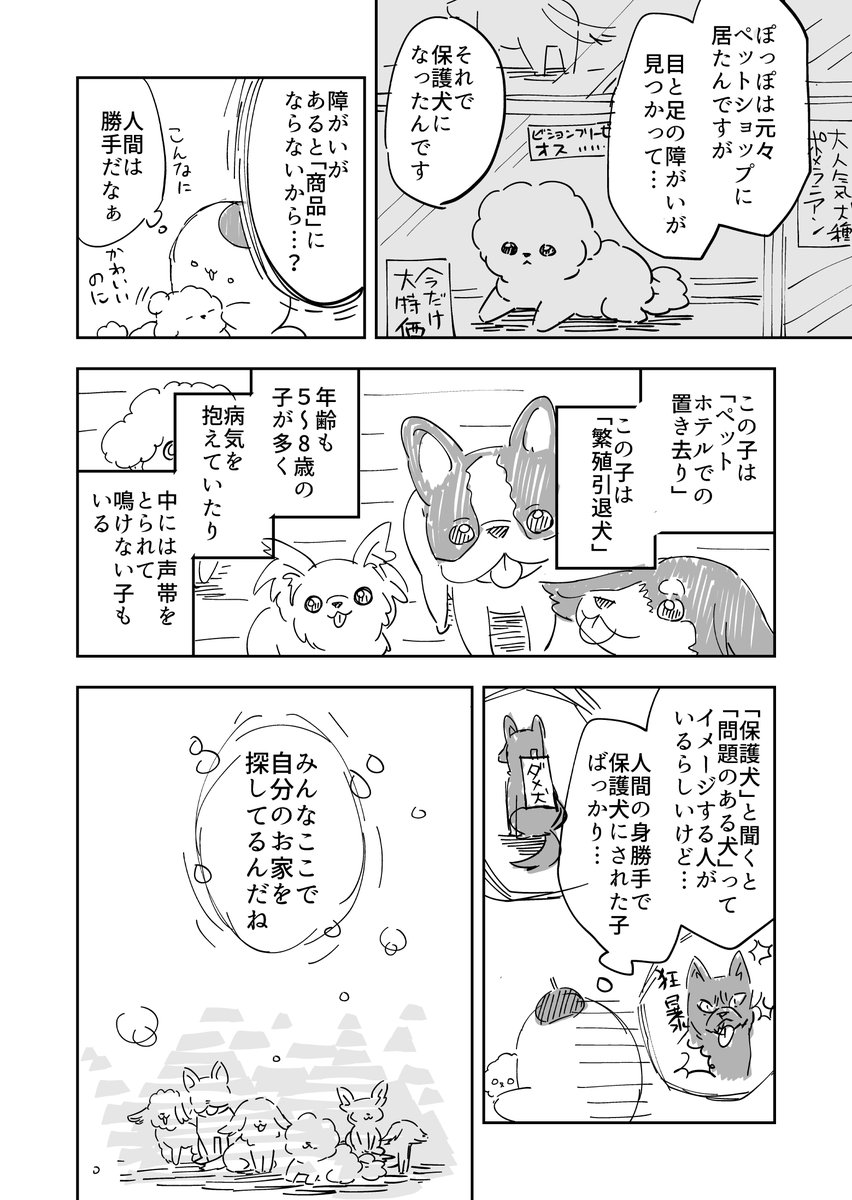 ③ 保護犬とは 