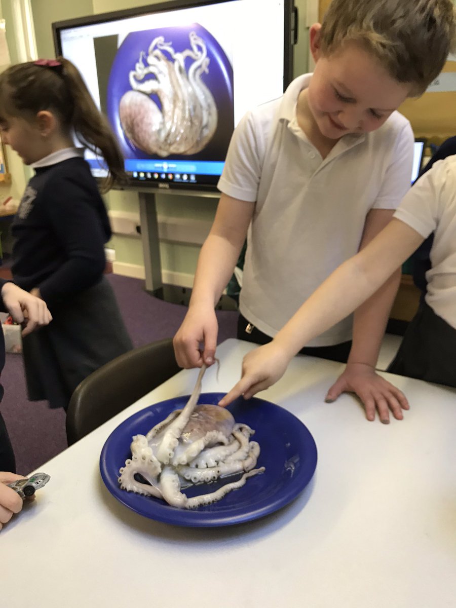 What does it feel like?!