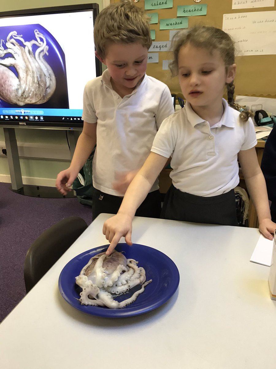 MoltonPrimary's tweet photo. What does it feel like?! https://t.co/xrGIcYbDzp