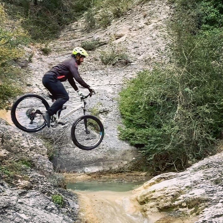 Benito Ros tweet media