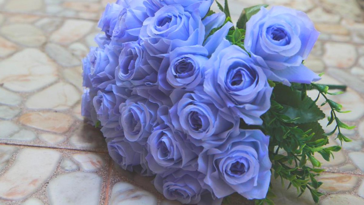 Host_Oz's tweet photo. Knock knock! Some roses, agapanthus, lavender, and forget-me-not bouquets has been sent to @GilbertNX10's door front!

📝
ㅤㅤHappy birthday, Gil~! I hope you stay healthy and loyal and kind like you always be!
ㅤㅤBy the way, what present do you want? Oh, how old are you now? ✨ https://t.co/kT7Xss2iVh