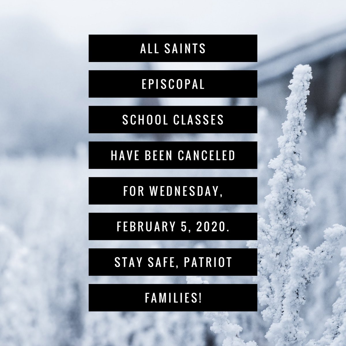 All Saints School tweet media