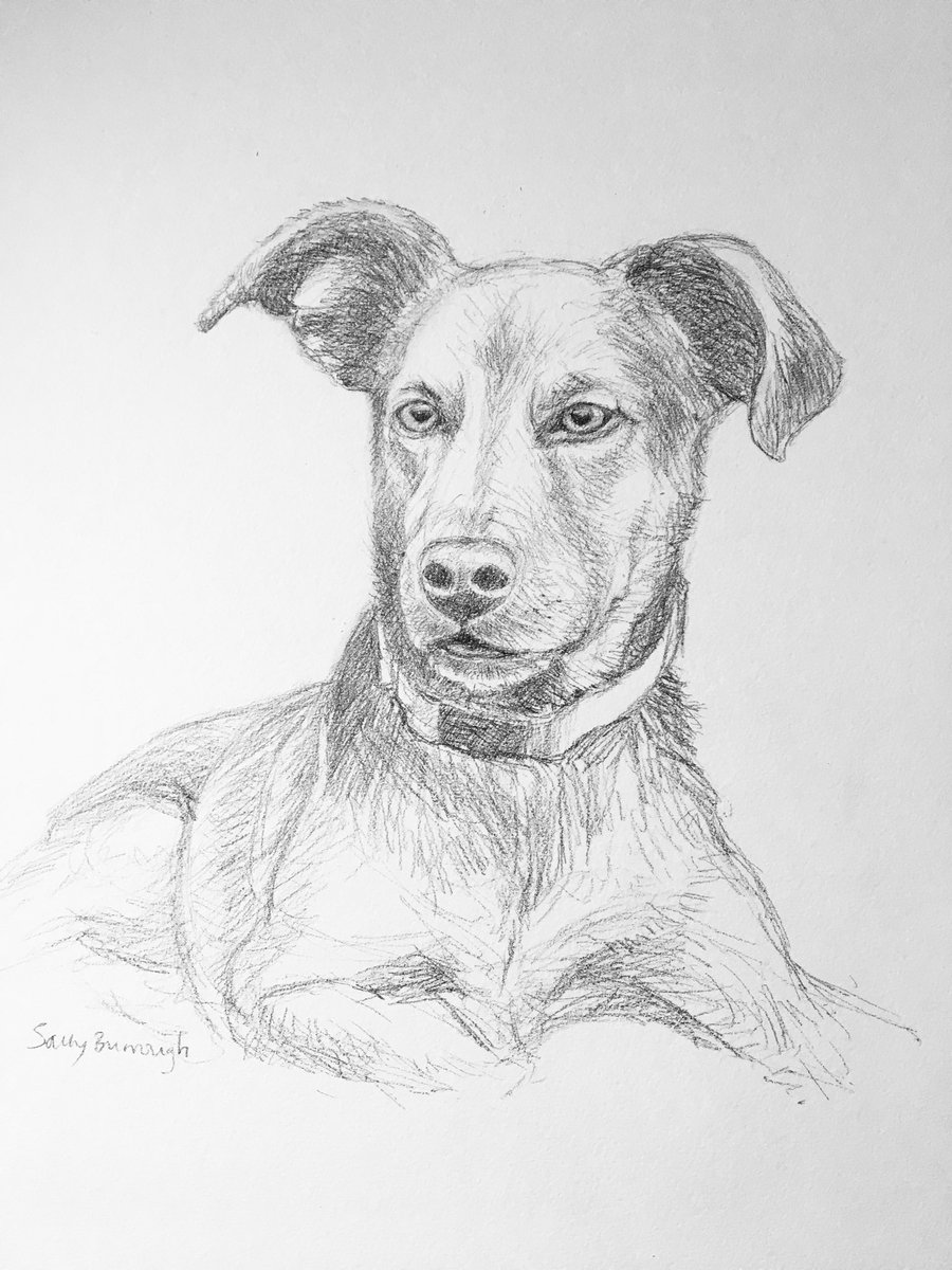 SallyTheArtist's tweet photo. After a very long silence from me, to show that I’ve not completely stopped drawing, here’s a pencil portrait of Leo. https://t.co/yjT8w7JF2C