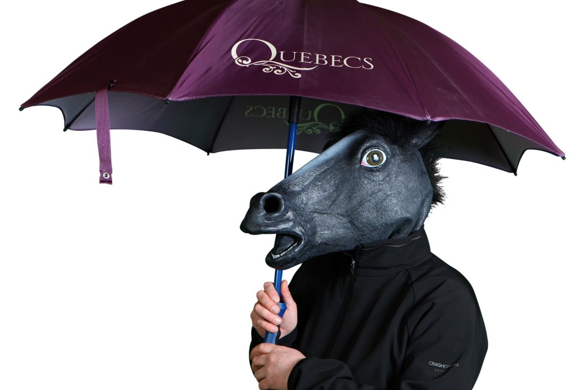 WurlinPromo's tweet photo. Our UWS neddy looks after a premium umbrella designed and made for Quebecs. He looks a litttle shocked! https://t.co/UIEg6doWRz