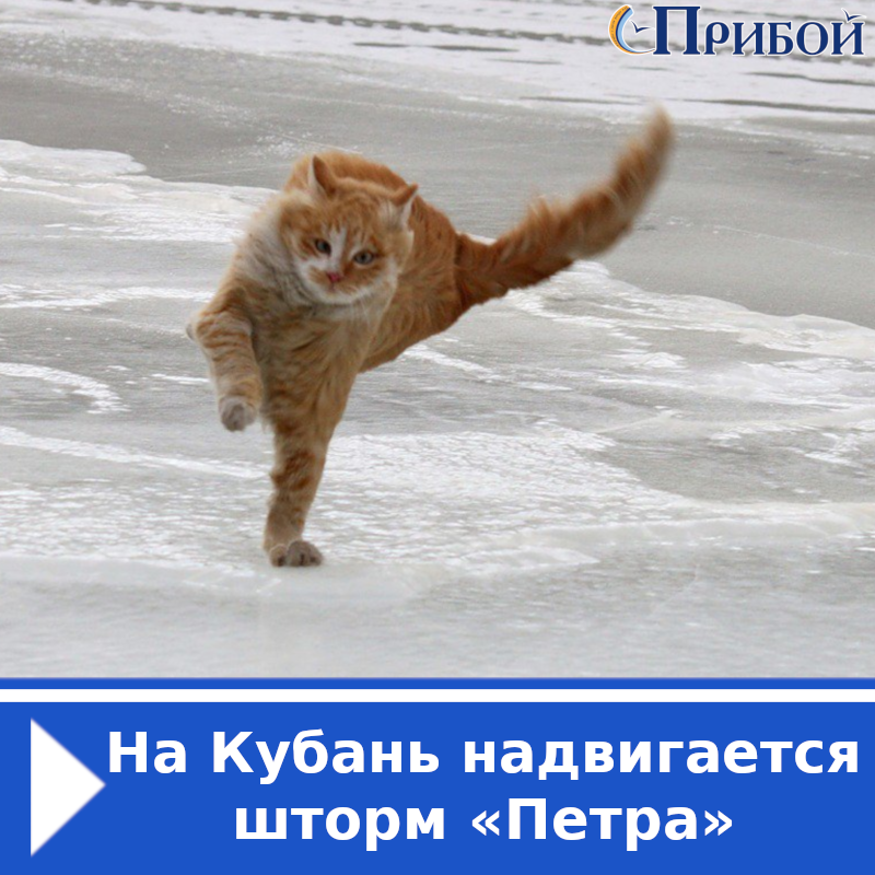 PriboyGel's tweet photo. В эпицентре непогоды окажется Черноморское побережье — от Новороссийска до Сочи. Шторм «Петра» ранее ударил по странам Центральной и Восточной Европы и добрал��я до Кубани.
По прогнозам синоптиков, в Геленджике по вине холодного фронта температура к выходным опустится до минус 5 https://t.co/eBsuI2cUGS