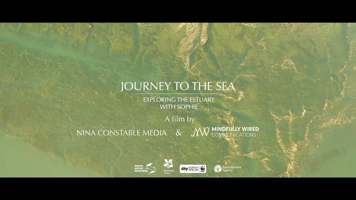 Mindfully Wired tweet media