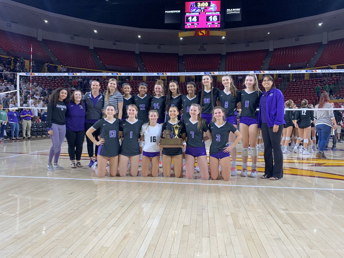 MillenniumVball's tweet photo. 🌸Celebrating National Girls and Women in Sports Day today and everyday‼️🌸Here at Millennium The Girls ROCK! 💜 #girlathletes #girlsinsports #thisismillennium #nationalgirlsandwomeninsportsday #ngwsd @MHSLadyBBall @MHSGirlsGolf4 @millenniumgsoc @MillenniumDT @MhsTigersTF https://t.co/UgfGqTBgsk
